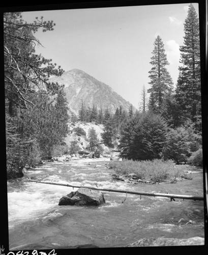 South Fork Kings River, Zumwalt Meadow area