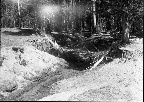 Meadow studies, note failure of brush check dam. Even large trees are being undermined. Remarks: Fig. 148 Armstrong Report. Misc. Resource Management Concerns