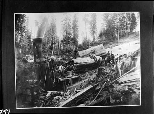 Logging, Donkey engines