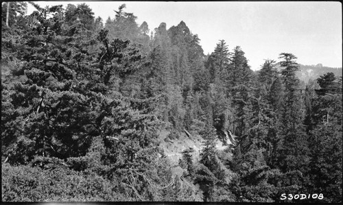 John Diehl, Moro Rock, Giant Forest, Construction, Loop Road from top of Moro Rock. 300000