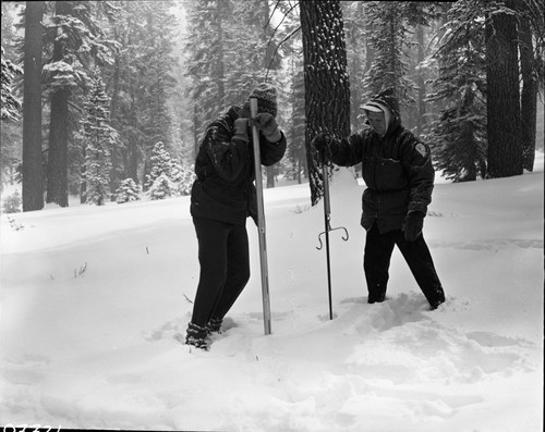 Snow Survey, Training session, Activities