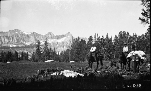 Sky Parlor Meadow, Subalpine Meadow Plant Community, Stock use, Misc. Meadows, individuals unidentified