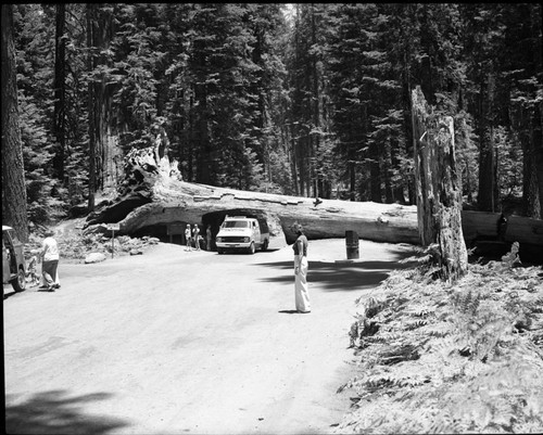 Tunnel Log, Vehicular Use