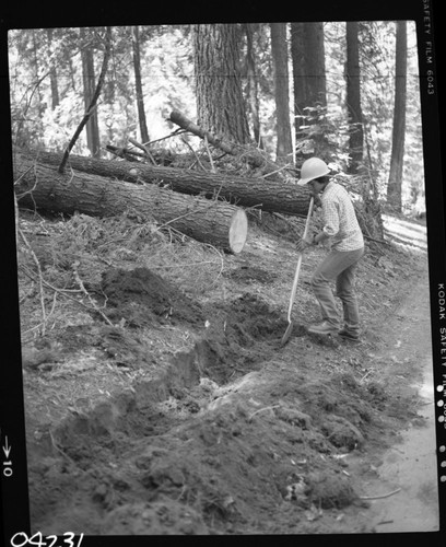 Construction, YCC Crew working on Congress Trail setting logs for benches