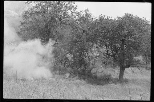 Training Activities, Ranger Activities, Fire training in Oak Woodland in Ash Mountain housing area, by Research Center