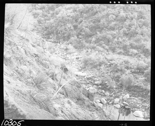 Middle Fork Kaweah River