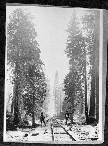 P.E. Stock 050000, Converse Basin area, Logging, Historic Individuals, Bill Parker and Mr. Findley, Engineer and fireman. Railroad up to Converse Basin