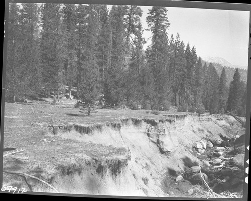 Meadow Studies, condition terrible, Field notebook pg 1101. Center of three part panorama