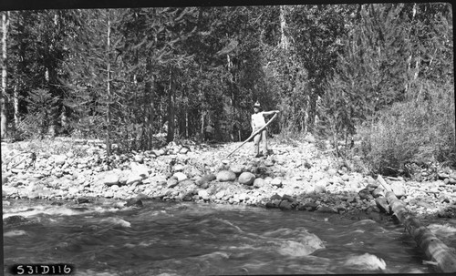 Construction, Chagoopa Bridge site west approach, individuals unidentified