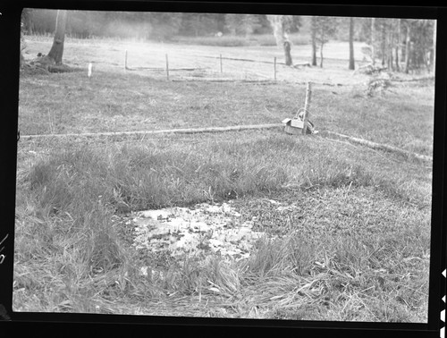 Meadow studies, plot #3 showing clipped growth, full growth and surrounding as utilized. Research Plots. Light leak