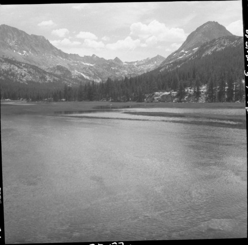 McClure Meadow. The Hermit, Meadow Studies