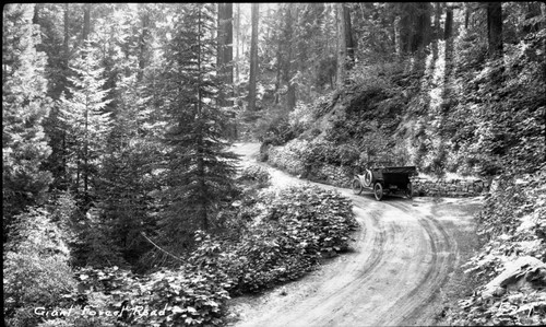 Generals Highway near Giant Forest, Vehicular use