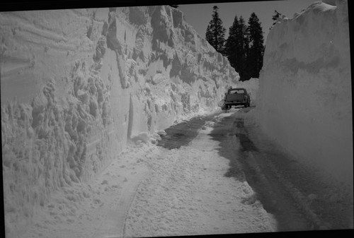 Robert Zink, Generals Highway between the Wye and Kings Canyon Overlook, Record Heavy Snow, One lane cleared near Big Baldy. 630322