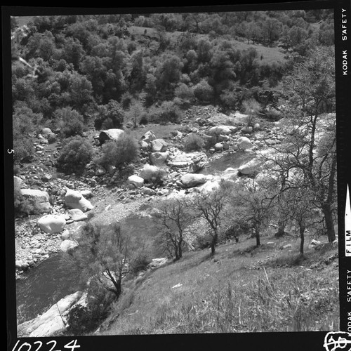 Middle Fork Kaweah River, Foothill Woodland Plant Community