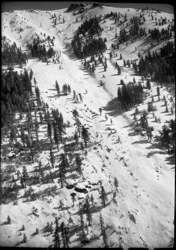 Flood and Storm Damage, Avalanche Damage Below Faculty Flat