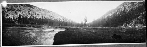 Three Rivers, Ca, Evolution Creek, Evolution Meadow, Permanent Meadow Photo Plot Study