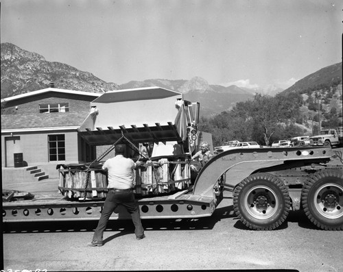 Giant Sequoia Sections, Loading stump for shipment to Iceland. Bill Stroh in photo