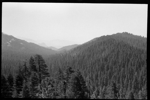 Redwood Mountain Grove, Miscellaneous Canyons, View south into Redwood Canyon from overlook on Generals Highway