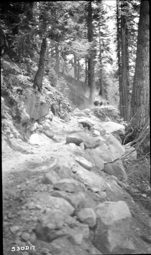 trails, new high Sierra trail north side Buck Canyon