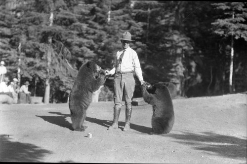 Bears and Bear Damage, Bear feeding at Bear HIll