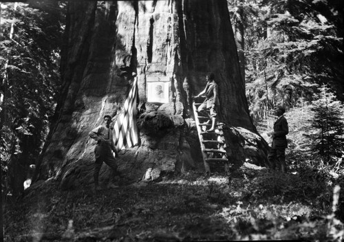 Giant Forest, SNP. Dedications and Ceremonies, President Tree dedication. Col. John R. White, Misc Name Giant Sequoias