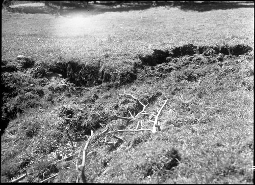 Meadow studies, More brush is needed where it has slipped. Exposed bank promises further erosion. Remarks: Figure 144 Armstrong Report