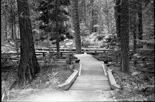 Buildings and Utilities, Grant Grove Amphitheater, After reconstruction