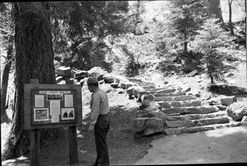 Exhibits, Trails, Moro Rock Exhibit. Individual Unidentified