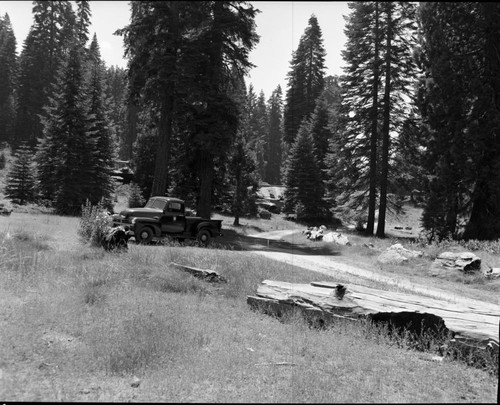 Roads, Approach road to Mark Twain Stump area