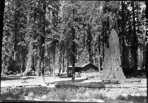 Buildings and Utilities, Giant Forest Museum