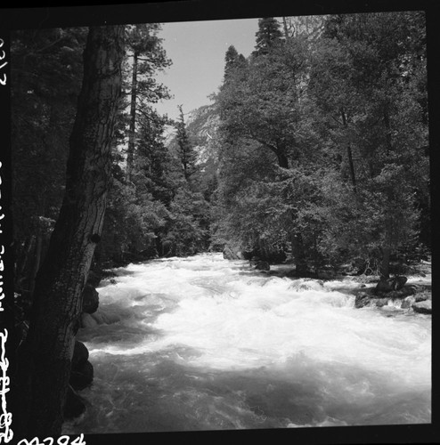 South Fork Kings River, high water