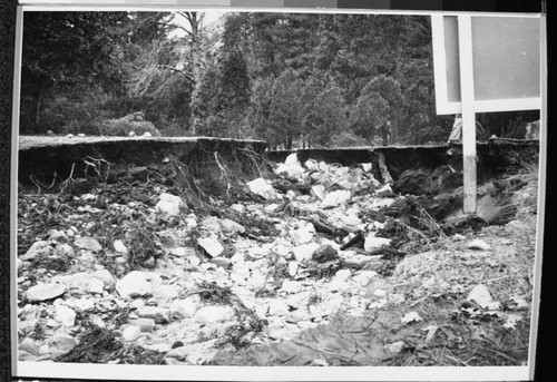 Flood and Storm Damage, storm damage to Cedar Grove area