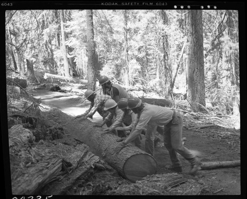 Construction, YCC Crew working on Congress Trail setting logs for benches