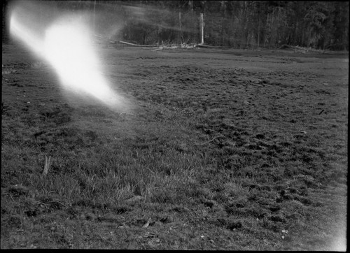 Meadow studies, satisfactory wet place in meadow grass. Good 5" at edge 8 to 10" in center depression. remarks: Figure 73 Armstrong Report. Light leak