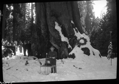 Nations Christmas Tree Ceremony, 1954. Mr. Robert Rose giving welcoming remarks