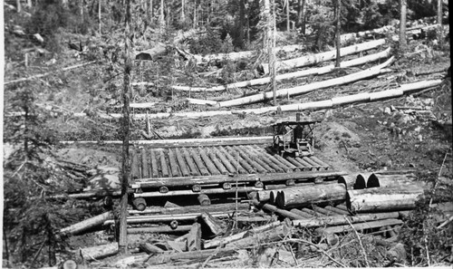 Logging, Early scenes at Millwood, early 1900's