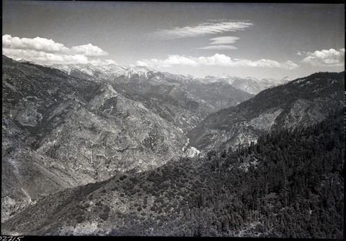 Mixed Coniferous Forest Plant Community. View up canyon