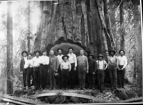 Logging, Group portrait at Millwood logging site. Early 1900's. Misc. Groups. Shorty Hughes - front, center with hat