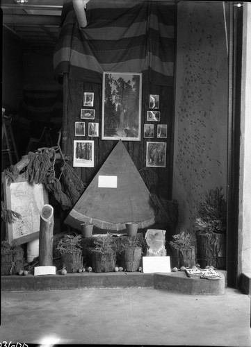 Los Angeles, Giant Sequoia Sections, Display by Auto Club Southern California, Exhibits