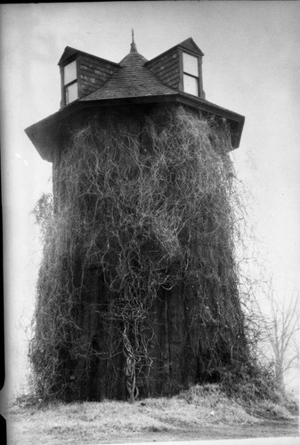 Washington D.C., buildings and utilities, stump house made from General Noble Tree, cut for the Chicago World's Fair in 1892