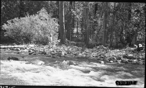 Construction, Chagoopa Bridge site east approach, individuals unidentified