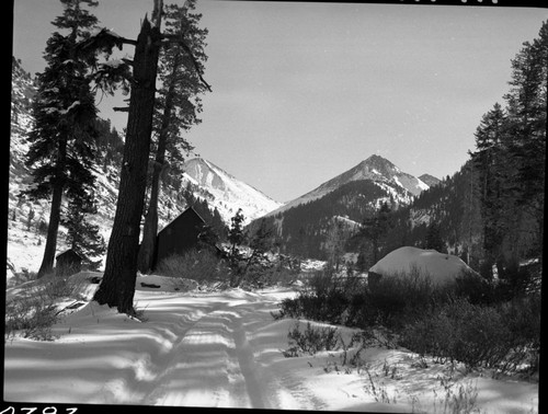 Mineral King Valley, in snow. Winter Scenes, Mineral KIng Area Cabins