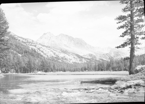 McClure Meadow, Mount Mendel and Mount Darwin