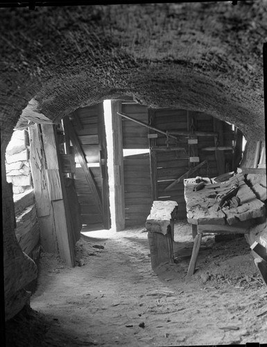 Tharp's Log interior