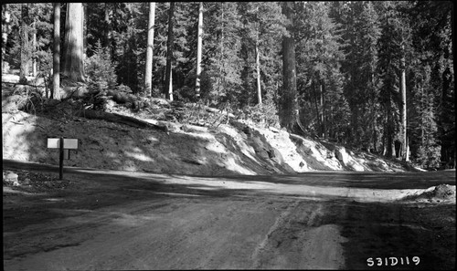 Generals Highway at Sherman Tree Road junction