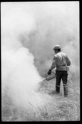 Training Activities, Ranger Activities, Fire training in Oak Woodland in Ash Mountain housing area, by Research Center