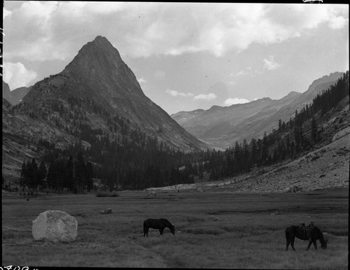 Misc. Meadows, Meadow studies, Big Wet Meadow. Misc. Domes