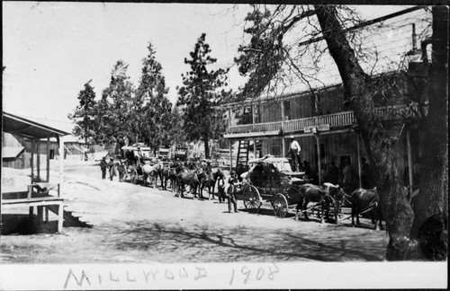 Logging, Early scenes at Millwood, early 1900's. Millwood Hotel