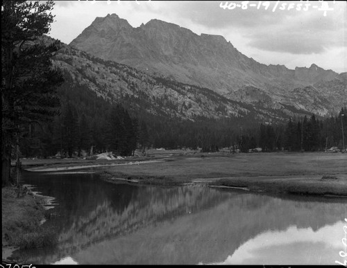 Meadow studies, McClure Meadow, Evolution Creek