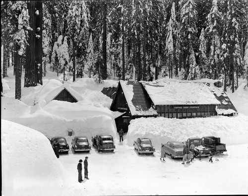 Record Heavy Snows, Giant Forest Coffee Shop in deep snow. Concessioner Facilities, Vehicular use, 520323